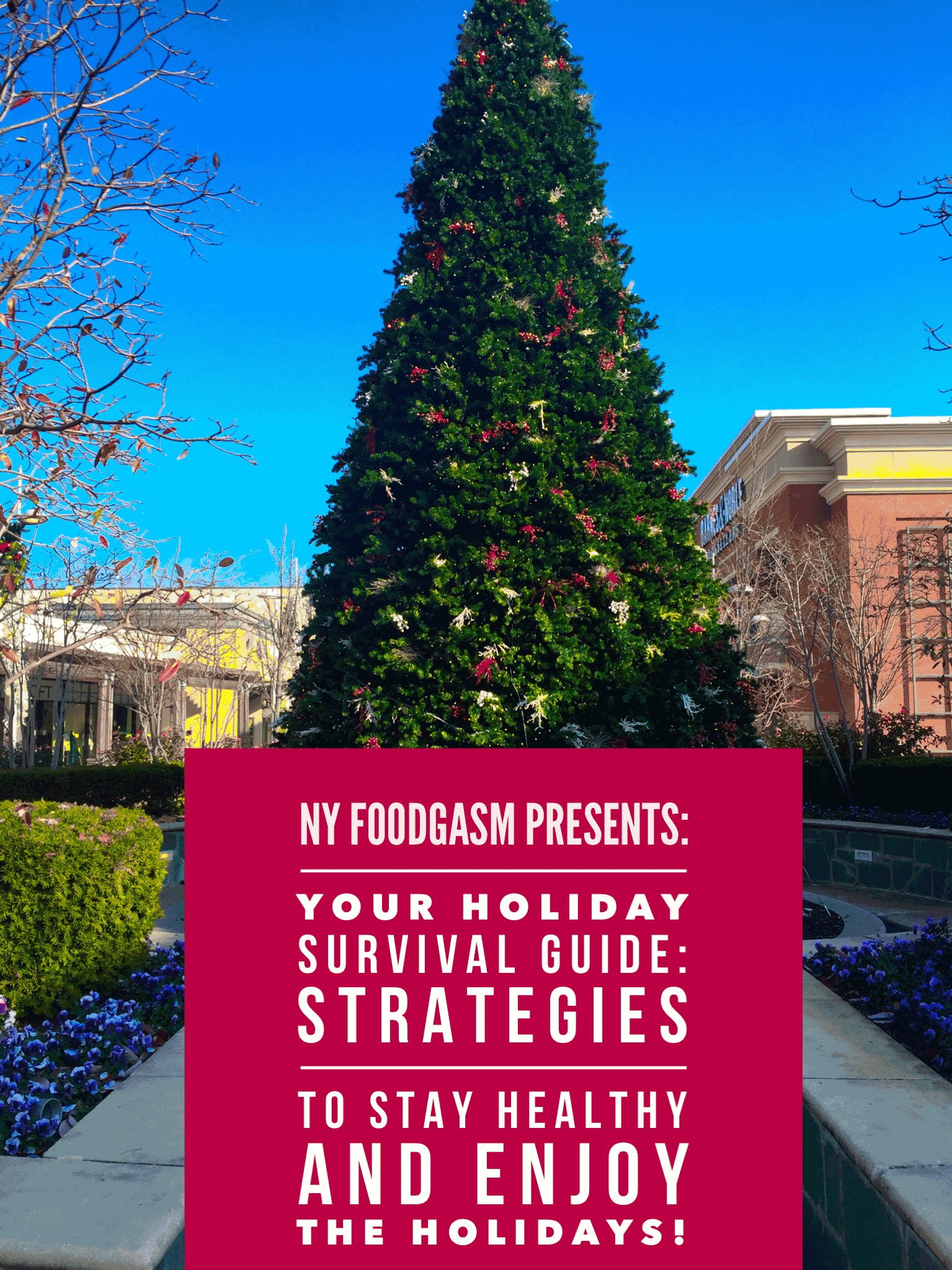 Your Holiday Survival Guide: Strategies to Stay Healthy and Enjoy the Holiday!!